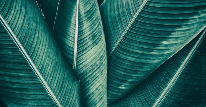 Root Cause Analysis